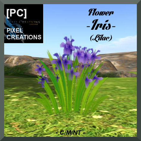 PIXEL CREATIONS - FLOWER IRIS LILAC