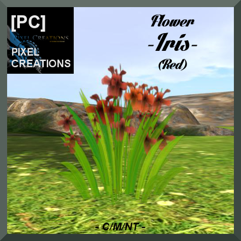 PIXEL CREATIONS - FLOWER IRIS RED